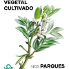 Levantamento do Património Vegetal Cultivado nos Parques Hortícolas de Lisboa